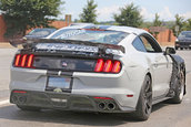 Shelby GT500 - Poze Spion