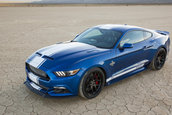 Shelby Super Snake 50th Anniversary