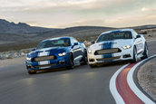 Shelby Super Snake 50th Anniversary