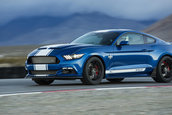 Shelby Super Snake 50th Anniversary