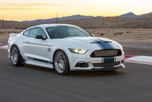 Shelby Super Snake 50th Anniversary