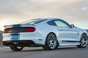 Shelby Super Snake 50th Anniversary