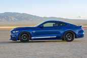 Shelby Super Snake 50th Anniversary