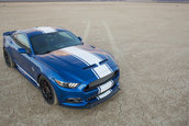 Shelby Super Snake 50th Anniversary