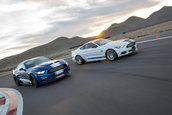 Shelby Super Snake 50th Anniversary