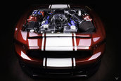 Shelby Super Snake de la Vilner