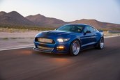 Shelby Super Snake Wide Body Concept si 1000 Package