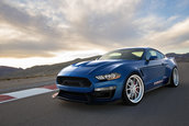 Shelby Super Snake Wide Body Concept si 1000 Package