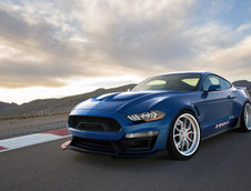 Shelby Super Snake Wide Body Concept si 1000 Package