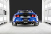 Shelby Super Snake Wide Body Concept si 1000 Package