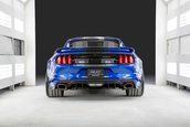 Shelby Widebody Concept