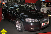 SIAB 2005 - partea 2