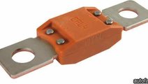 Siguranta fuzibila Producator FIAT 71748379