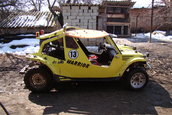 silviubug