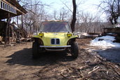 silviubug