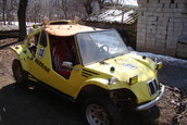 silviubug