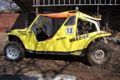 silviubug