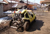 silviubug
