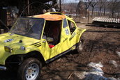 silviubug