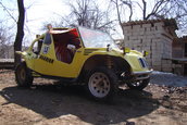 silviubug