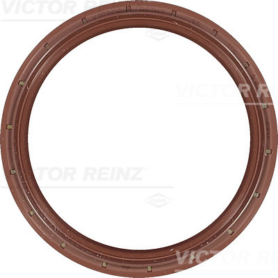 Simering, arbore cotit spre cutia de viteze (815401600 REI) TOYOTA