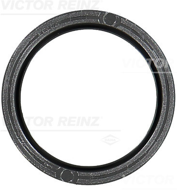 Simering, ax cu came chiulasa (811048100 REI) VOLVO