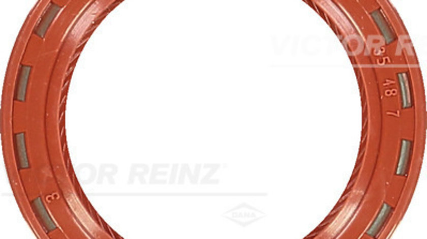 Simering, ax cu came chiulasa (812490910 VICTOR REINZ) ALFA ROMEO,CHEVROLET,CHRYSLER,DAEWOO,DODGE,FIAT,HOLDEN,ISUZU,JEEP,LADA,OPEL,SAAB,SUZUKI,VAUXHALL