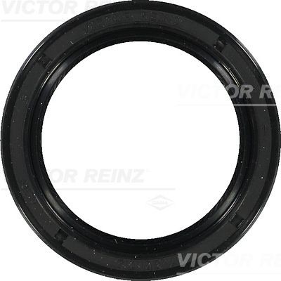 Simering, ax cu came chiulasa (813697100 REI) OPEL,RENAULT,SAAB,VAUXHALL