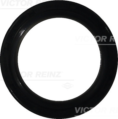 Simering, ax cu came chiulasa (813862700 REI) RENAULT