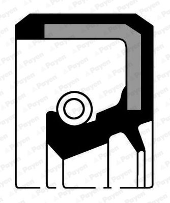 Simering, ax cu came partea fata (NA5347 PAYEN) ACURA,ALFA ROMEO,BEDFORD,CADILLAC,CHEVROLET,CHRYSLER...