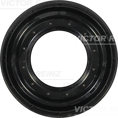 Simering, diferential puntea spate (813137700 REI) BMW
