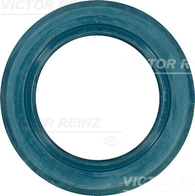 Simering,rulment roata (813528800 REI)