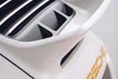 Singer Dynamics and Lightweighting Study