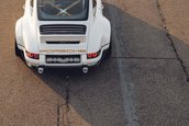 Singer Dynamics and Lightweighting Study