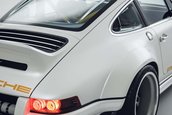 Singer Dynamics and Lightweighting Study