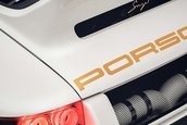Singer Dynamics and Lightweighting Study