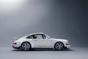Singer Dynamics and Lightweighting Study