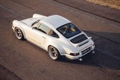 Singer Dynamics and Lightweighting Study