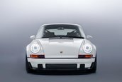 Singer Dynamics and Lightweighting Study