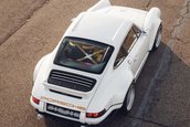 Singer Dynamics and Lightweighting Study