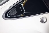 Singer Dynamics and Lightweighting Study