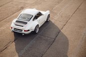 Singer Dynamics and Lightweighting Study