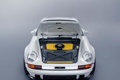 Singer Dynamics and Lightweighting Study