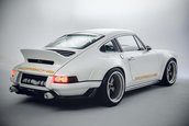 Singer Dynamics and Lightweighting Study