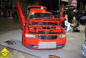 Sinsheim Car&Sound 2008