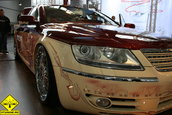Sinsheim Car&Sound 2008