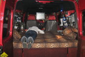 Sinsheim - Germania CAR+SOUND 2006