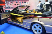 Sinsheim - Germania CAR+SOUND 2006