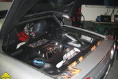 Sinsheim - Germania CAR+SOUND 2006