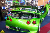 Sinsheim - Germania CAR+SOUND 2006